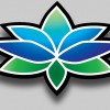 Blue Lotus Health & Acupuncture