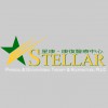 Stellar Physical & Occupational Therapy & Acupuncture